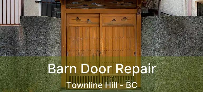Barn Door Repair Townline Hill - BC