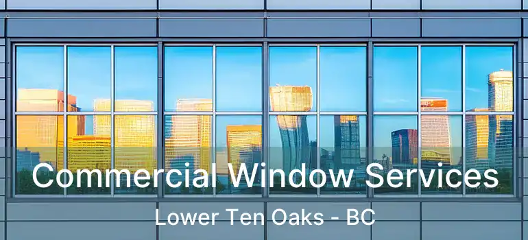 Commercial Window Services Lower Ten Oaks - BC