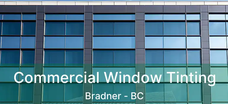 Commercial Window Tinting Bradner - BC