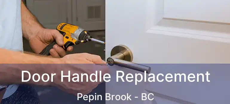 Door Handle Replacement Pepin Brook - BC