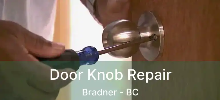 Door Knob Repair Bradner - BC