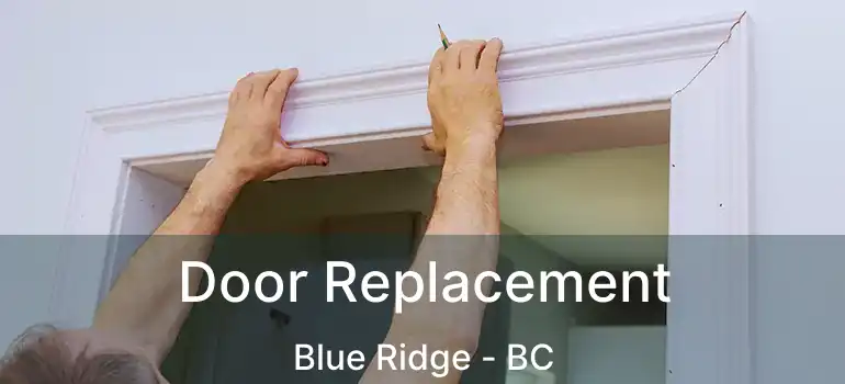 Door Replacement Blue Ridge - BC
