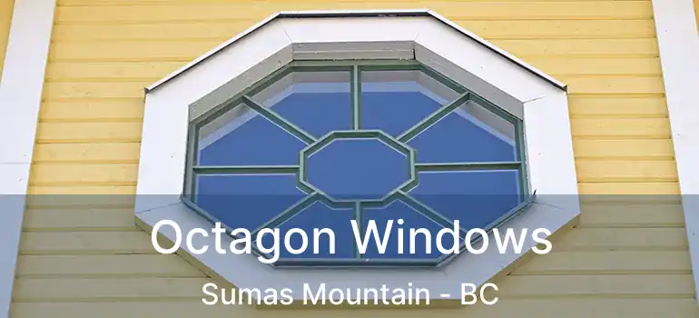 Octagon Windows Sumas Mountain - BC