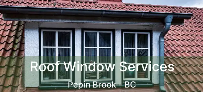 Roof Window Services Pepin Brook - BC