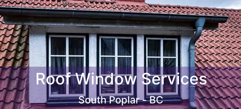 Roof Window Services South Poplar - BC