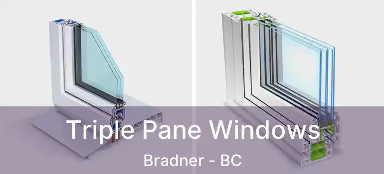 Triple Pane Windows Bradner - BC
