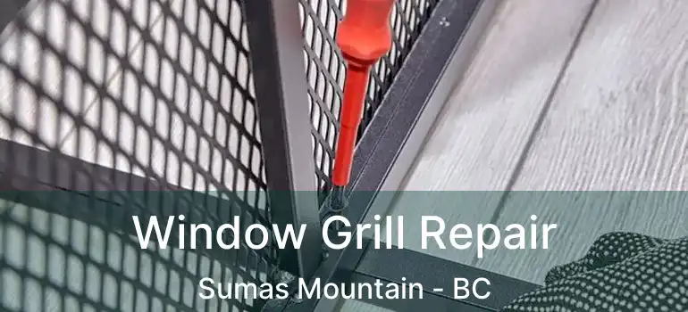 Window Grill Repair Sumas Mountain - BC