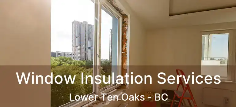 Window Insulation Services Lower Ten Oaks - BC