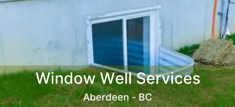 Window Well Services Aberdeen - BC
