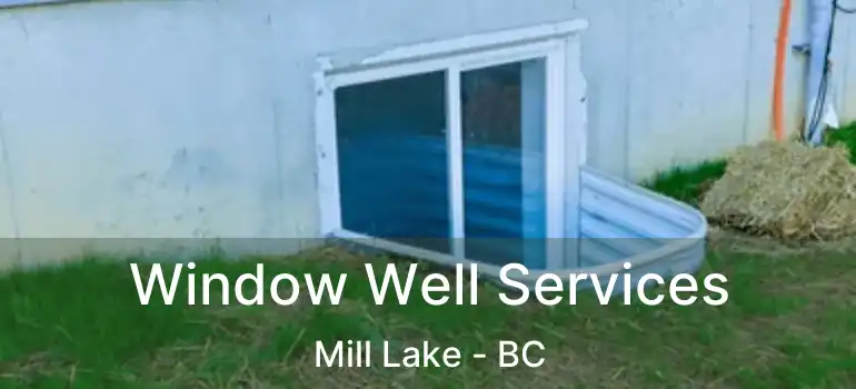Window Well Services Mill Lake - BC